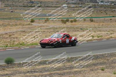 media/May-03-2025-Lucky Dog Racing (Sat) [[206de64b9d]]/Turn 6 (150pm-230pm)/